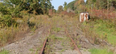 Arcuri says rail is key to redeveloping upstate